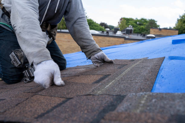 Best Asphalt Shingle Roofing  in Ddanelle, AR